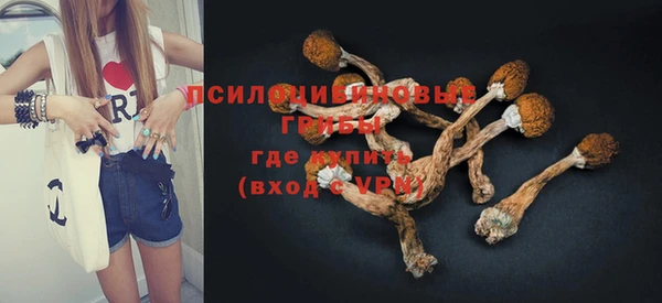 стафф Алзамай